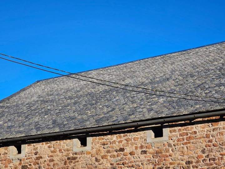 Démoussage Rodez